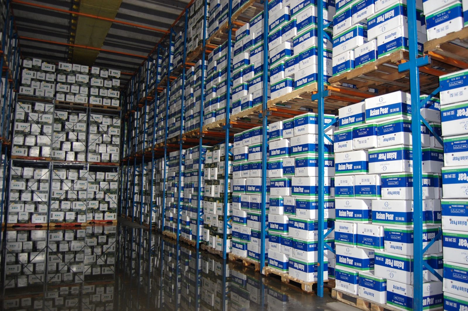 Cold Storage